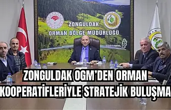 'Orman köylüsü ayaktaysa, orman hayattadır'