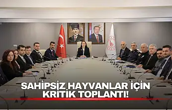 Sahipsiz Hayvanlar İçin Kritik Toplantı!