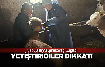 Şap Aşısı İçin Tarihler Belli Oldu