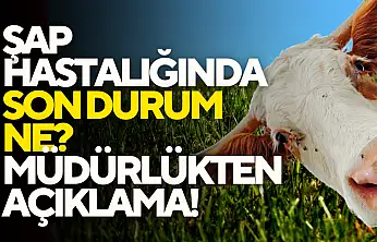 Şap Hastalığında Son Durum Ne?