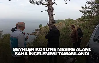 Şeyhler Köyü'ne Modern Mesire Alanı