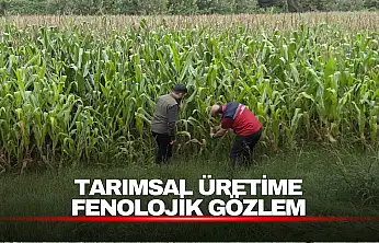Tarımsal Üretim Fenolojik Gözlemlerle Takip Ediliyor