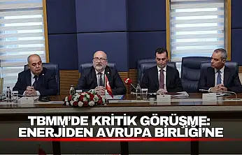 TBMM'de Kritik Görüşme: Enerjiden Avrupa Birliği'ne