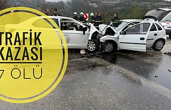 Trafik kazası, 7 ölü