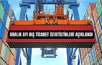 TÜİK açıkladı