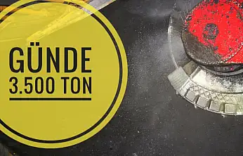 Uyuyan güzel uyandı