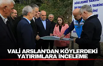 Vali Arslan'dan Köylerdeki Yatırımlara İnceleme