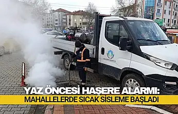 Yaz Öncesi Haşere Alarmı