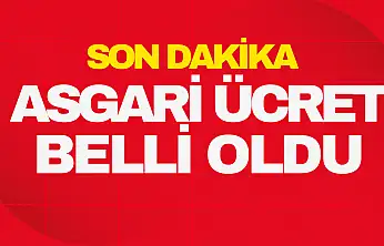 Yeni Asgari Ücret Belli Oldu!