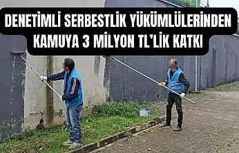 Yükümlüler boyadı, kamu kazandı