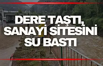 Zonguldak'ta sağanak sonrası dere taştı, sanayi sitesini su bastı