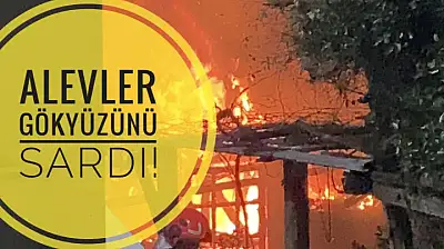 ALEVLER GÖKYÜZÜNÜ SARDI!