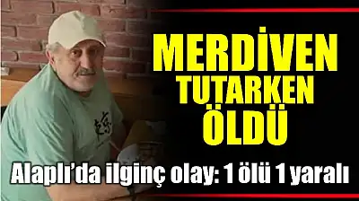 Ağaçtan düştü, merdiveni tutan kişi hayatını kaybetti