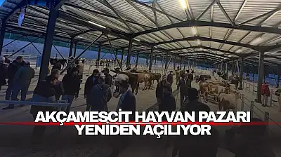 Akçamescit Hayvan Pazarı Yeniden Açılıyor