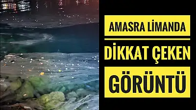 Amasra limanda dikkat çeken görüntü