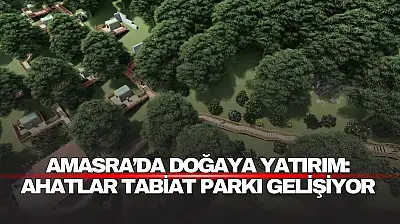 Amasra'ya Yeni Yaşam Alanı