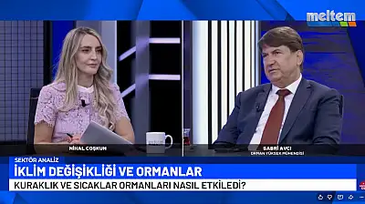 Avcı'dan ormanlar, yangınlar ve ekonomi üzerine önemli açıklamalar