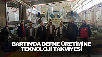 Bartın'da Defne Üretimine Teknoloji Takviyesi