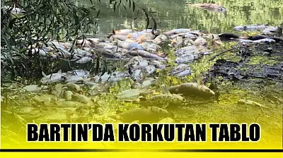 Bartın'da korkutan manzara