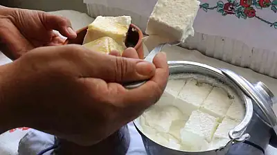 Bartın'ın meşhur manda yoğurdu Kültürel Miras listesine eklendi