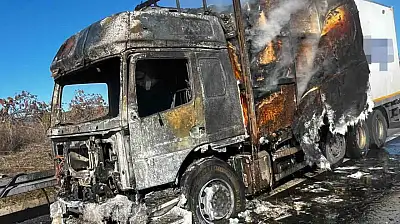 Kargo yüklü tır alev alev yandı