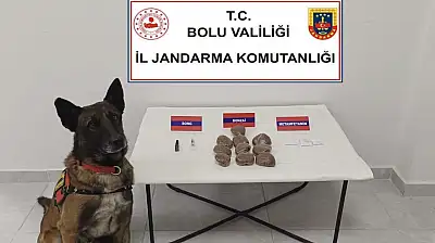 Bolu'da otomobilde zulalanmış uyuşturucuya 2 gözaltı