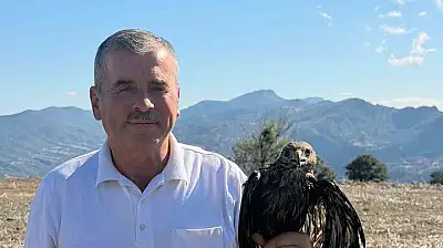 Bolu'da sıcak asfalta yapışan şahin, muhtarın müdahalesiyle kurtarıldı