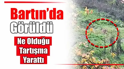 Bu görüntülere yorum yağdı