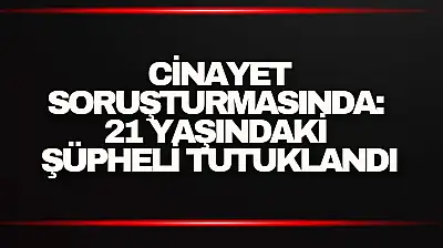 Cinayet Soruşturmasında: 21 Yaşındaki Şüpheli Tutuklandı