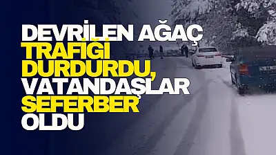 Devrilen Ağaç Trafiği Durdurdu