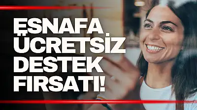 Esnafa Ücretsiz Hibe ve Teşvik Analizi