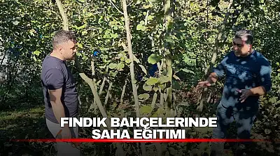 Fındık Üreticilerine Budama ve Kahverengi Kokarca Eğitimi