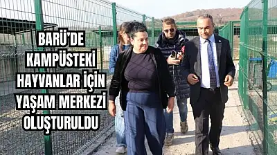 Güvenli ortamlarına kavuştular