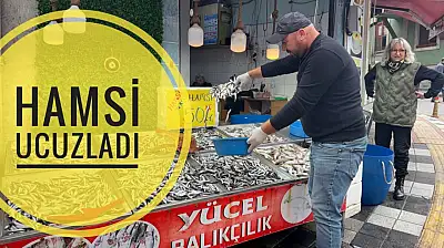 Hamsi ilk kez bu fiyata düştü
