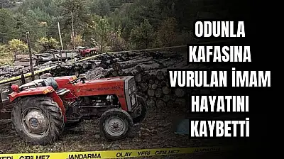 Kastamonu'da cinayet