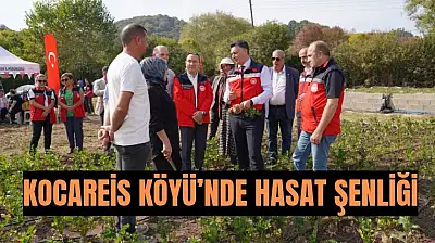 Kerevizde hedef 5 ton