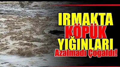 Kimyasal şüphesi korkutuyor