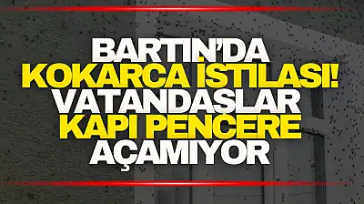 Kokarca İstilası! Vatandaşlar Kapı Pencere Açamıyor