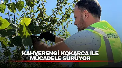 Mahallelerde Tuzak ve İlaçlama Çalışması