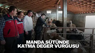 Manda Sütünde Katma Değer Vurgusu