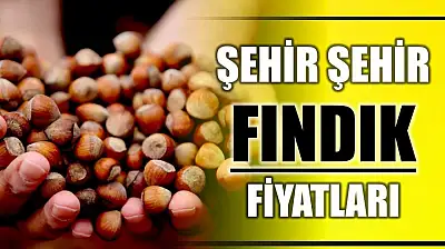 Şehir şehir fındık fiyatları