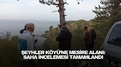 Şeyhler Köyü'ne Modern Mesire Alanı