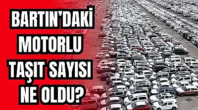 TÜİK verileri paylaştı