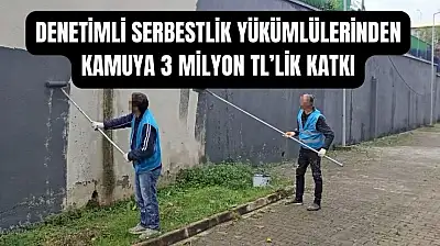 Yükümlüler boyadı, kamu kazandı
