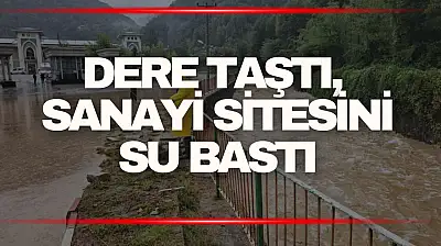 Zonguldak'ta sağanak sonrası dere taştı, sanayi sitesini su bastı