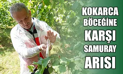 Biyolojik mücadele devam ediyor