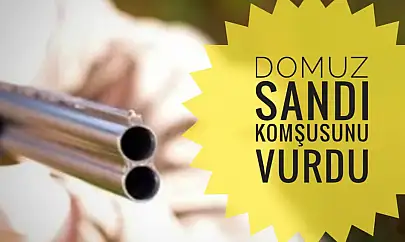 Domuz sandı komşusunu vurdu