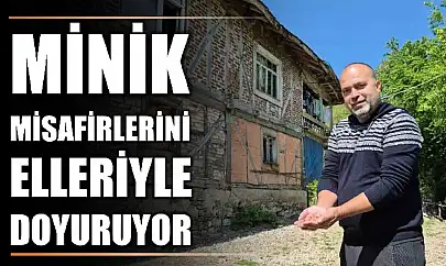 Eve yuva yaptılar