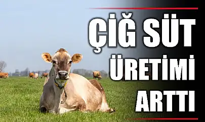 TÜİK açıkladı