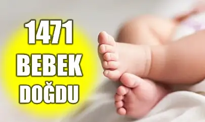 TÜİK açıkladı